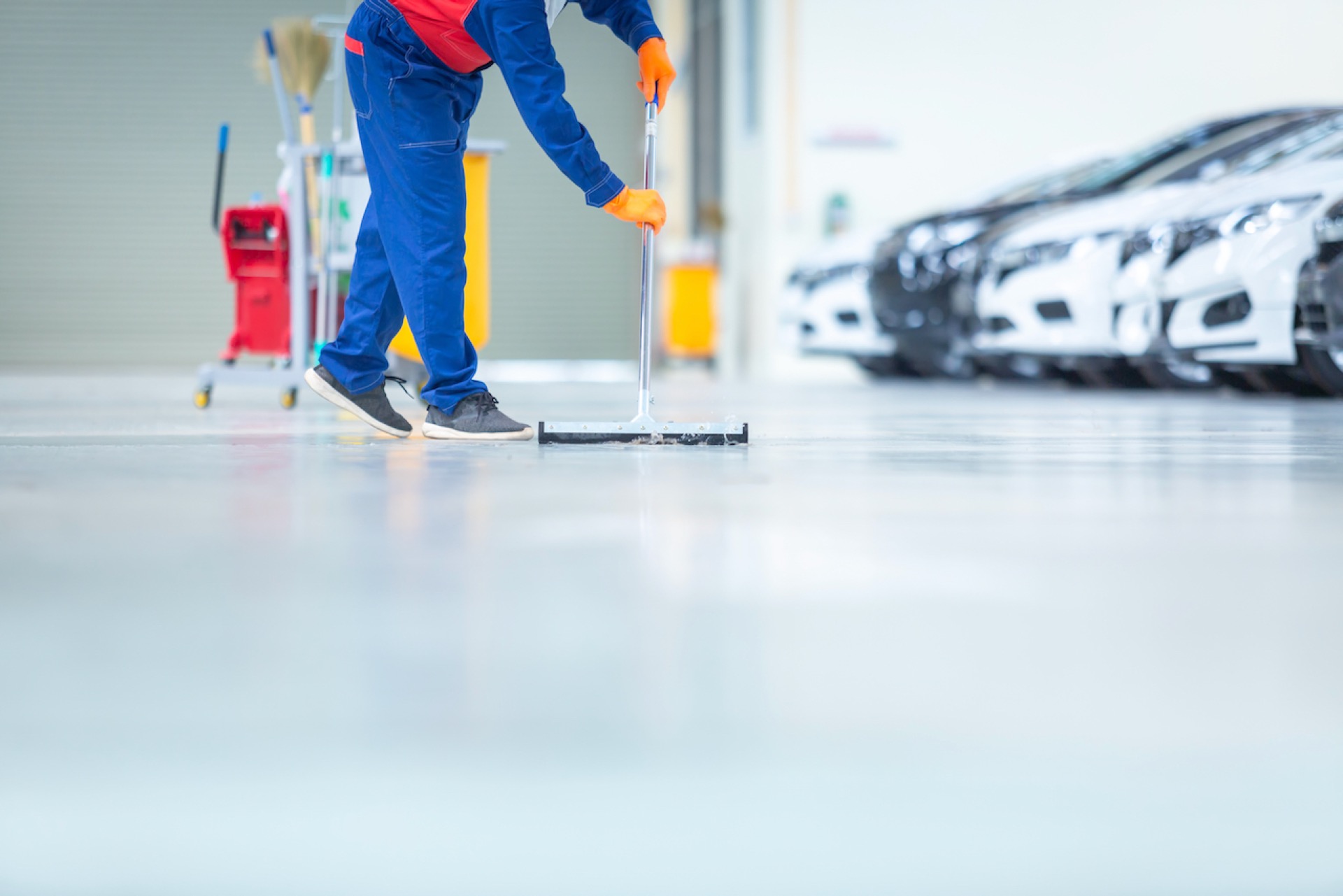 Auto Dealerships